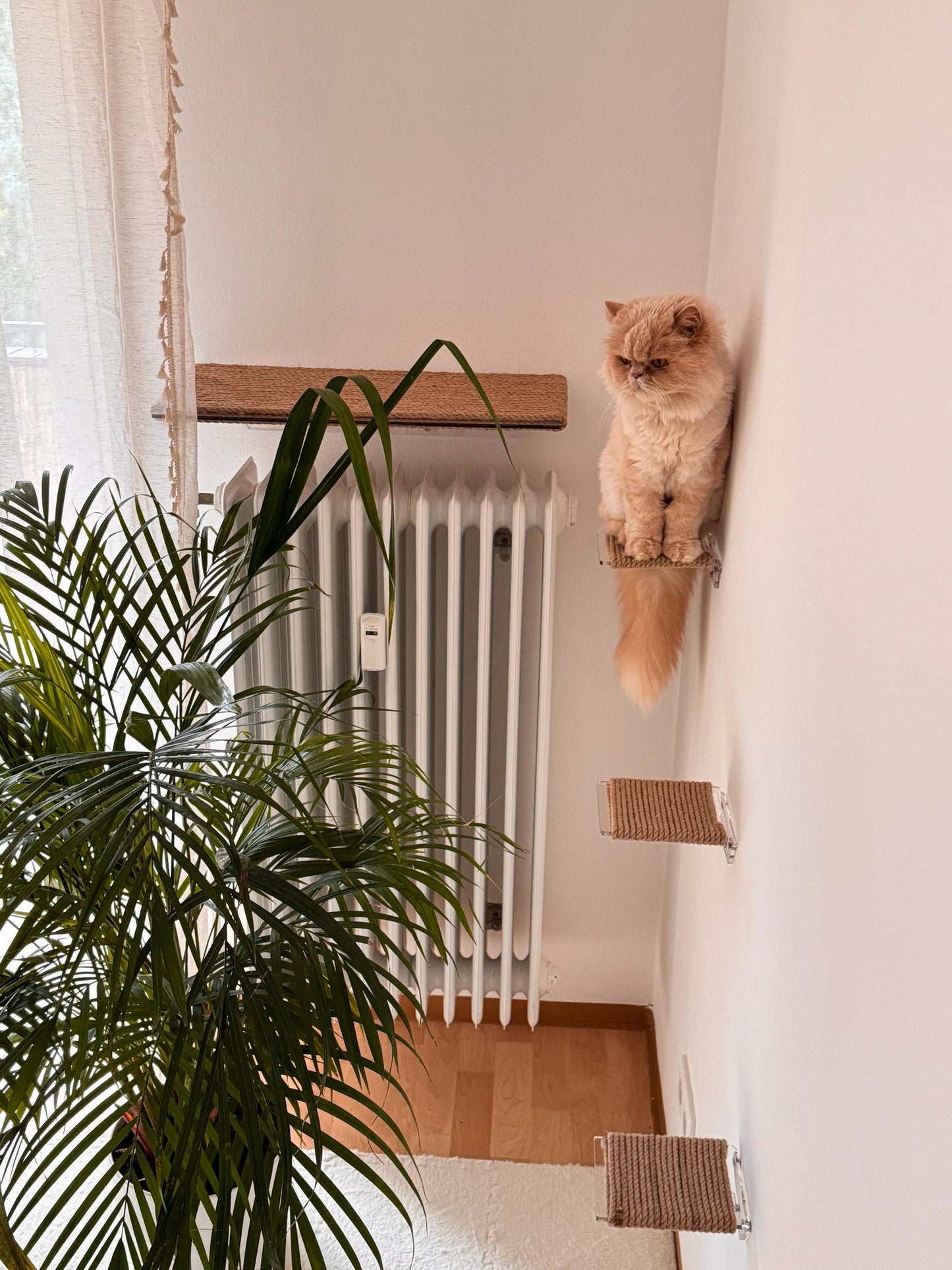 Wall-mounted cat bed, Large cat shelf