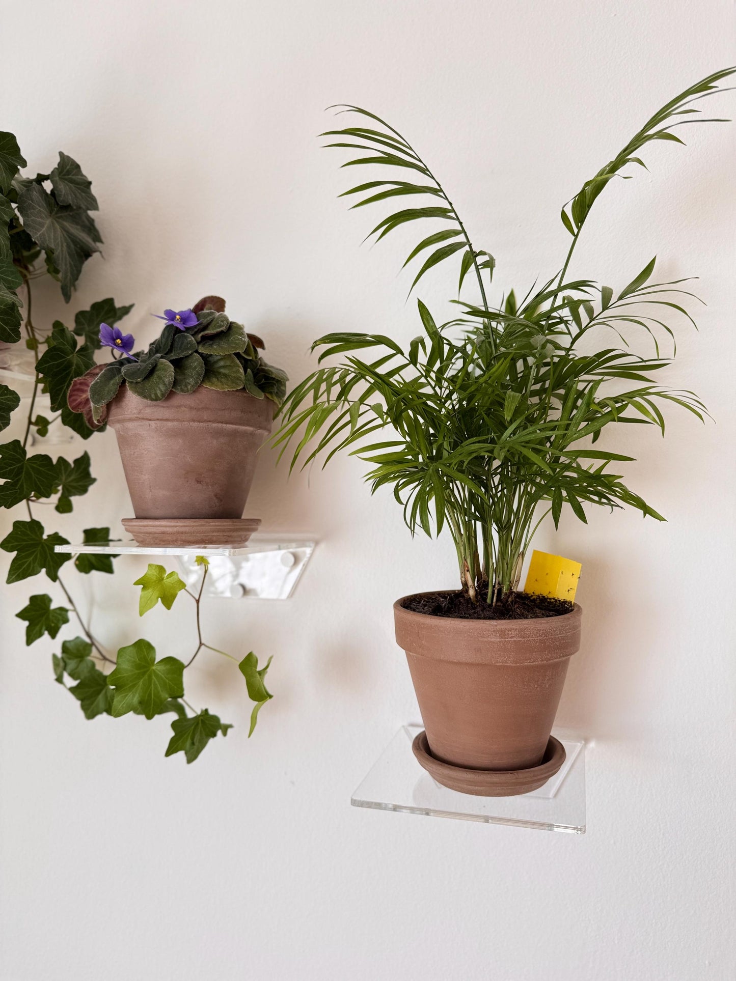 Set of three wall-mounted floating shelves made of clear acrylic, shelves for books, plants, cosmetics and wall decor
