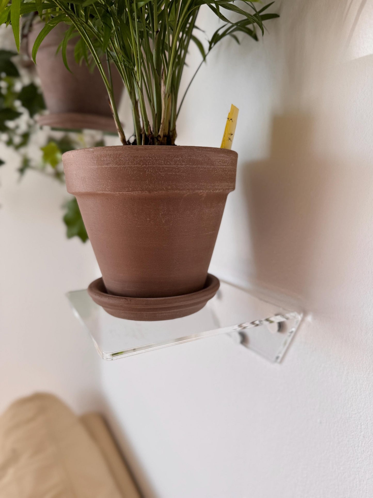 floating acrylic wall shelf, shelves for flowers and decor