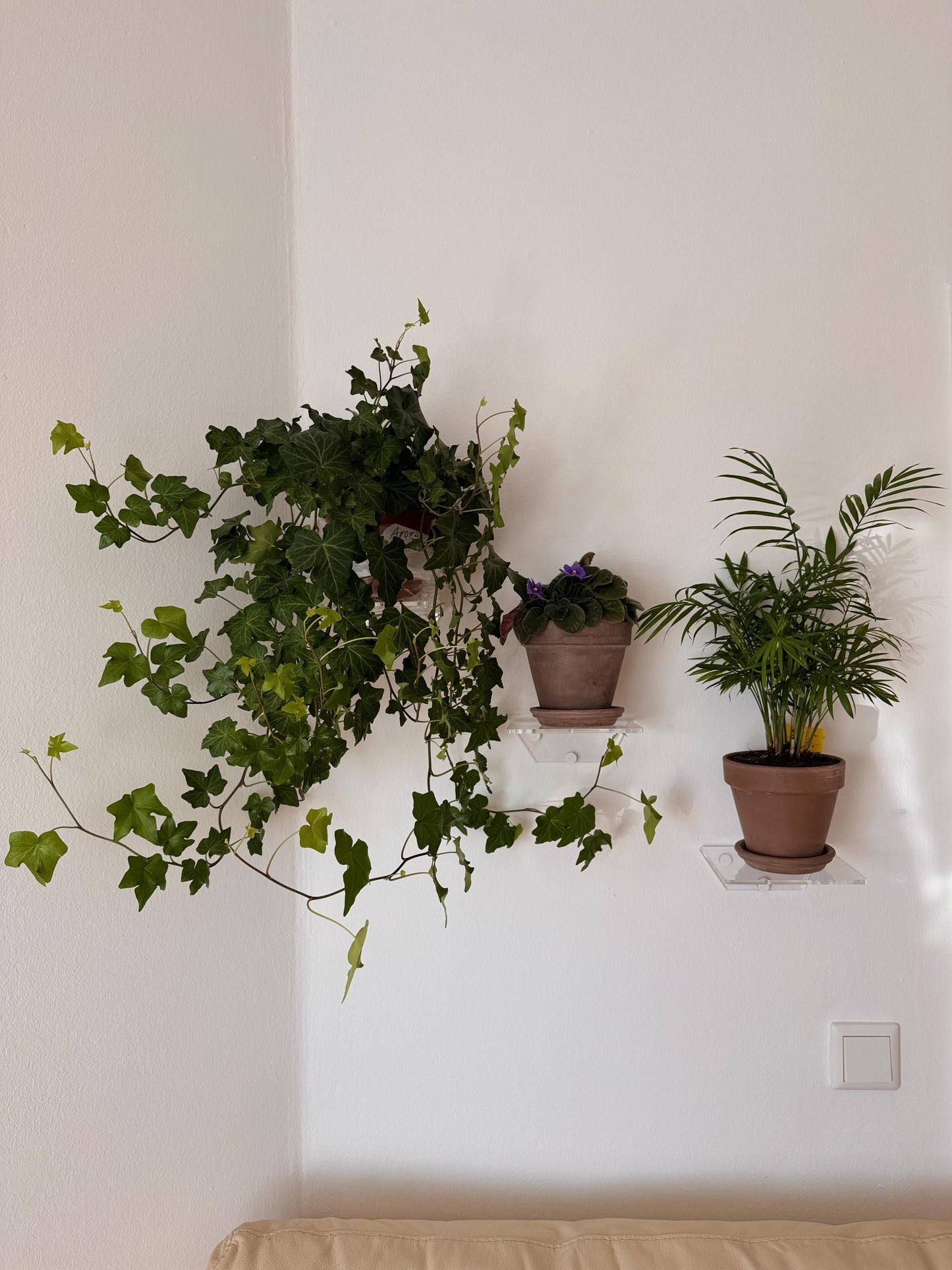 floating acrylic wall shelf, shelves for flowers and decor