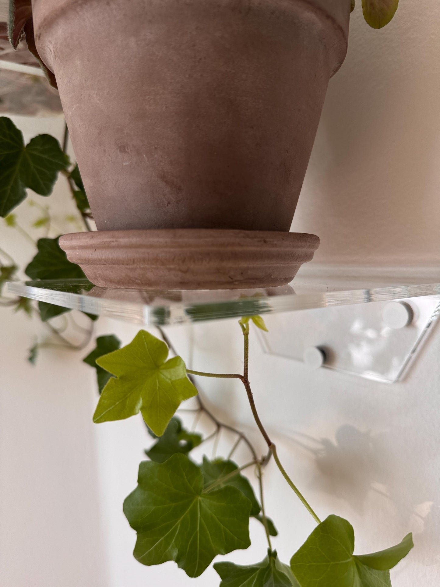 floating acrylic wall shelf, shelves for flowers and decor