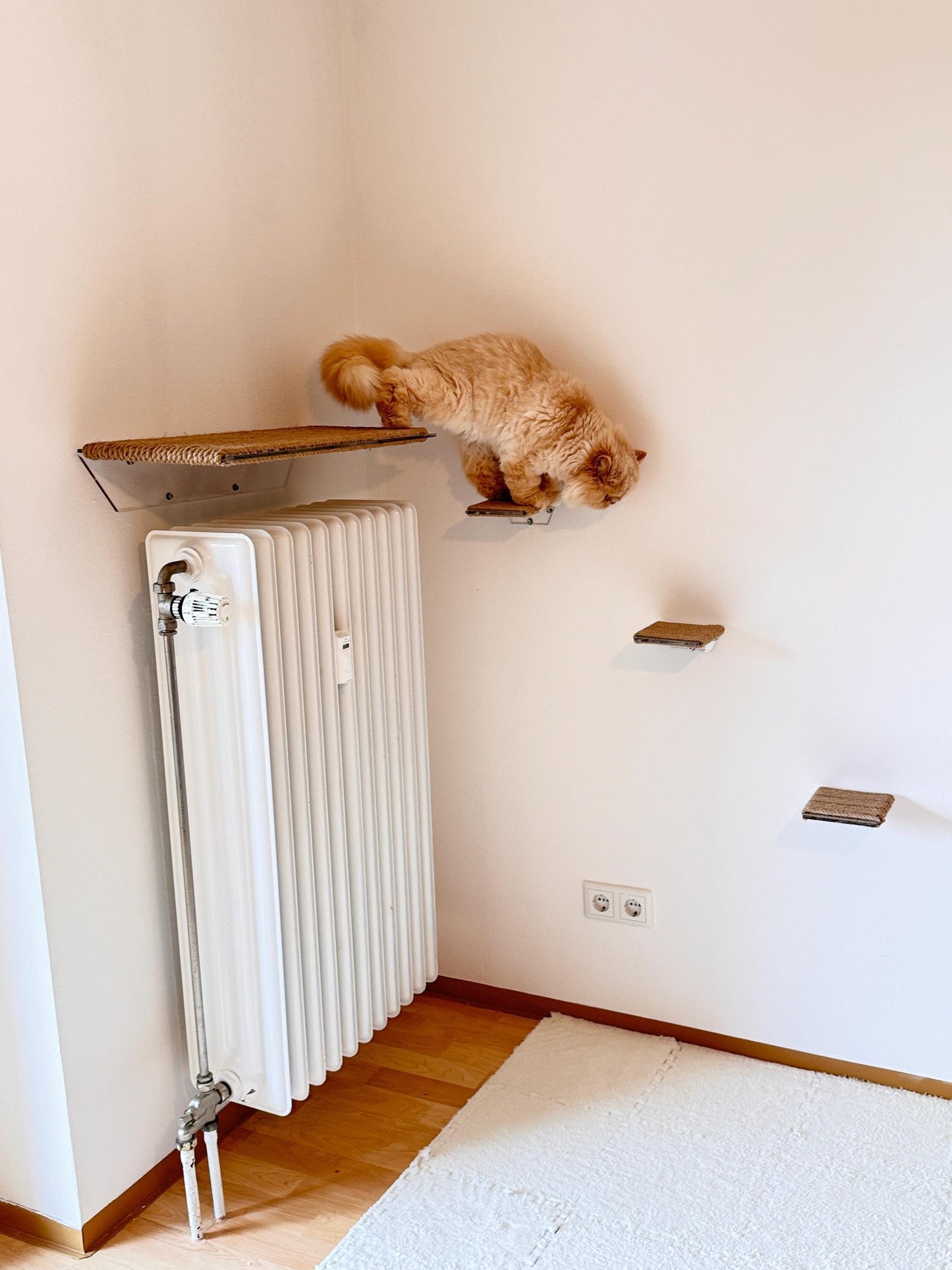 Wall-mounted cat bed, cat sleeping shelf