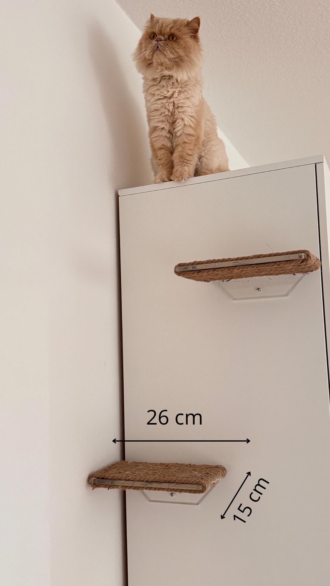 Wall mounted cat shelf, Wall-mounted cat bed, pet steps