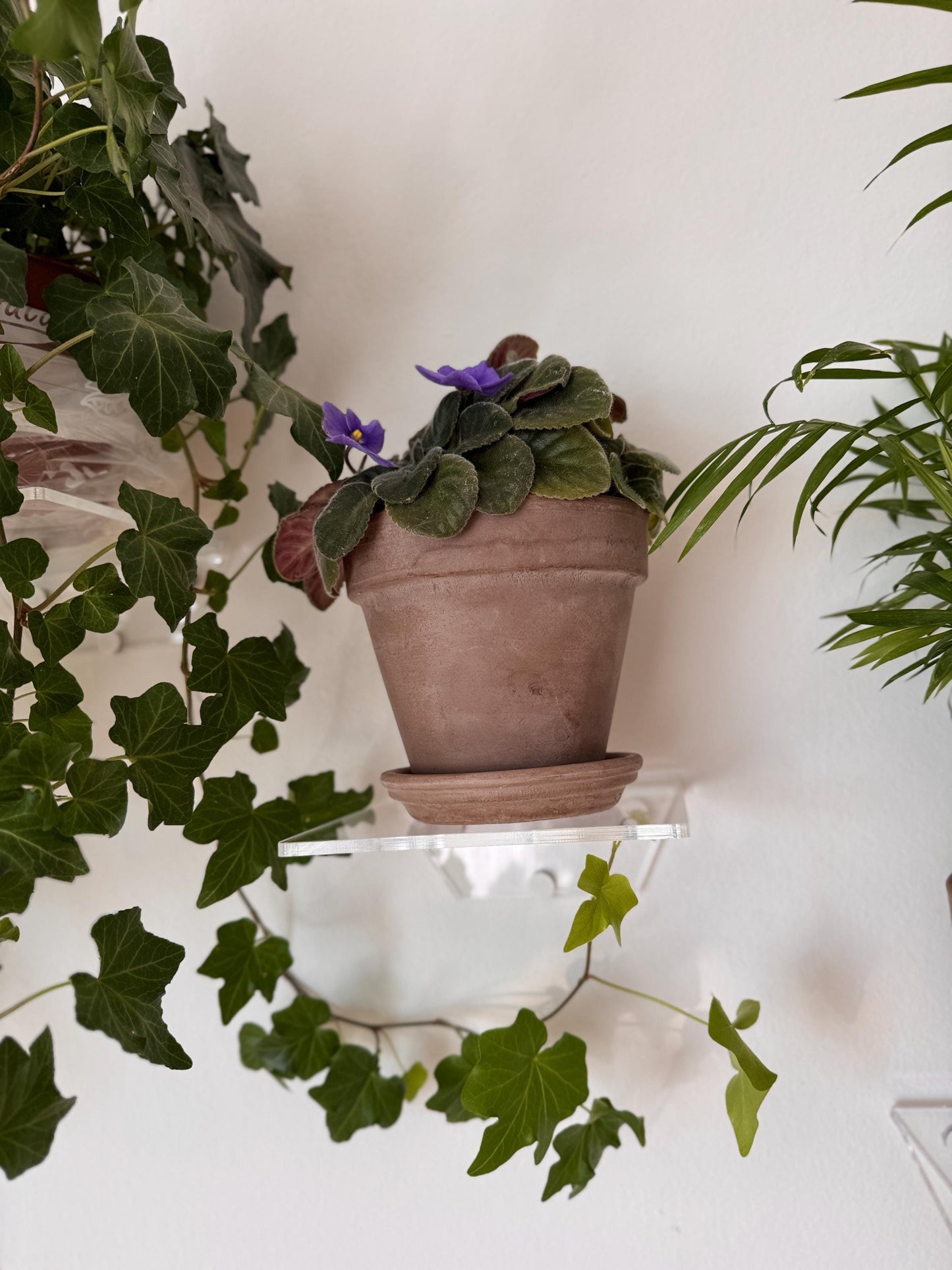 floating acrylic wall shelf, shelves for flowers and decor