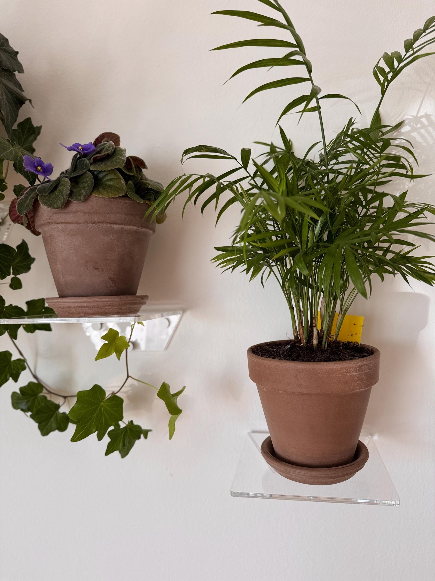 floating acrylic wall shelf, shelves for flowers and decor