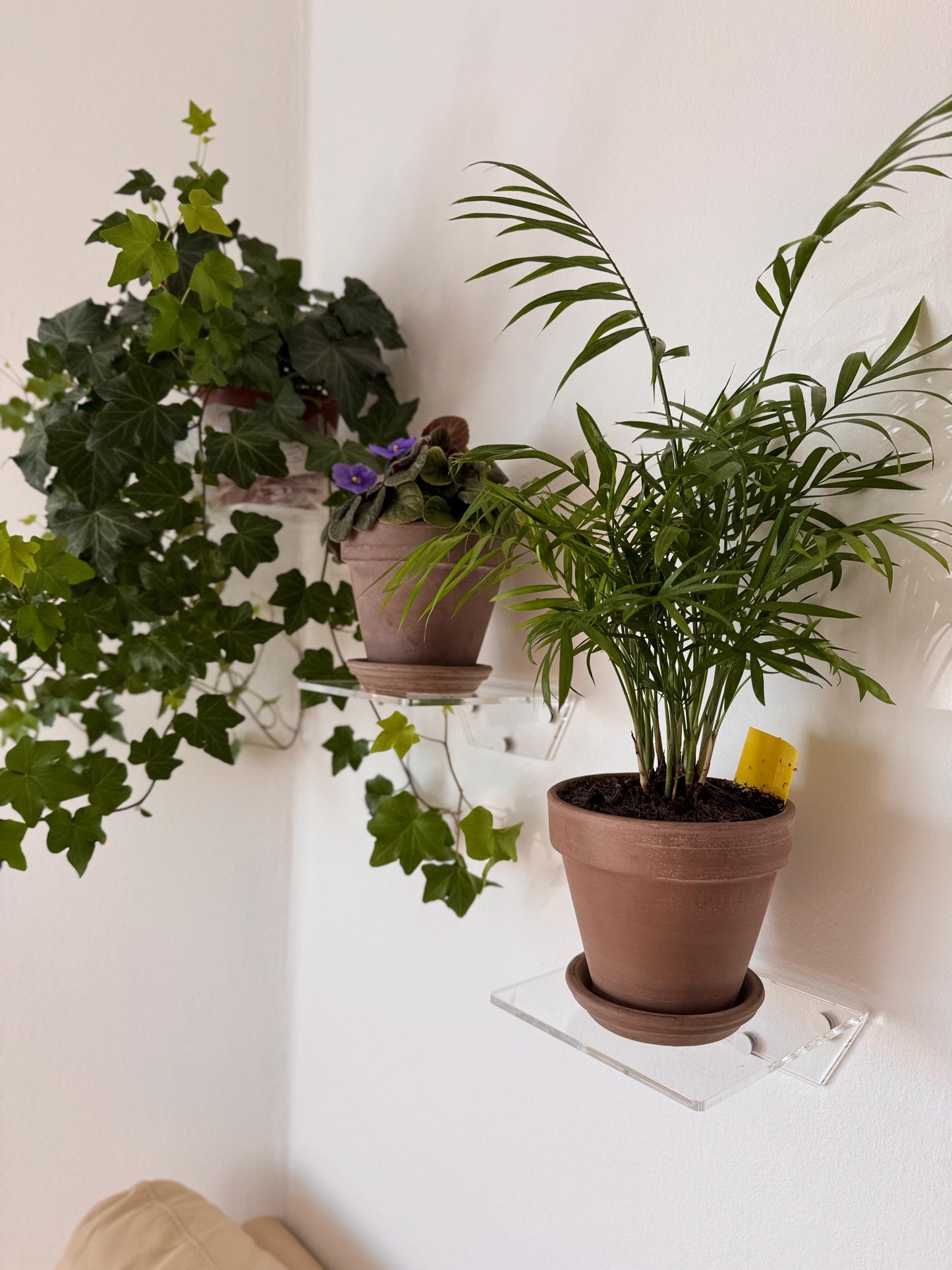 floating acrylic wall shelf, shelves for flowers and decor
