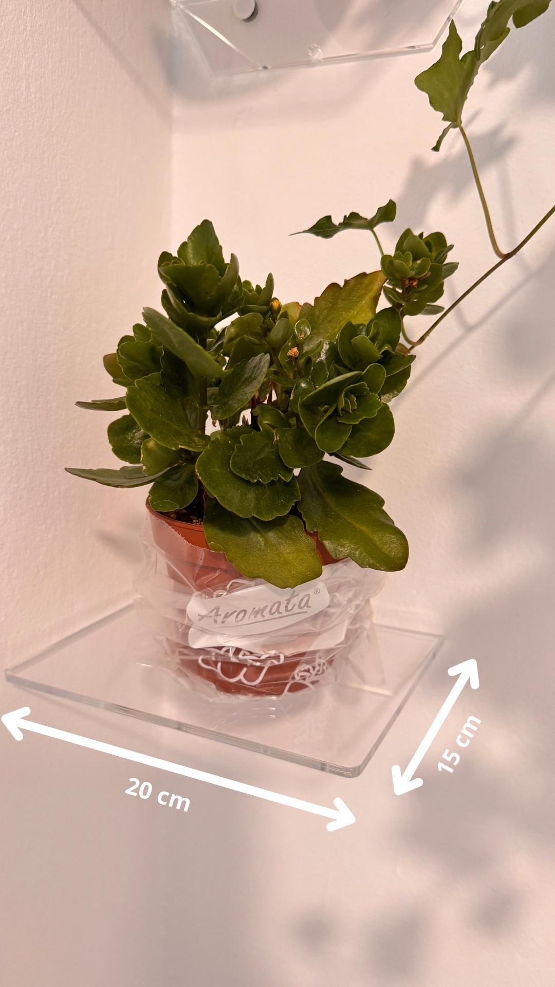 Floating shelves for books or plants. For bathroom cosmetics. Transparent shelves for cups or decor. Set of 3 shelves. Wall shelves.