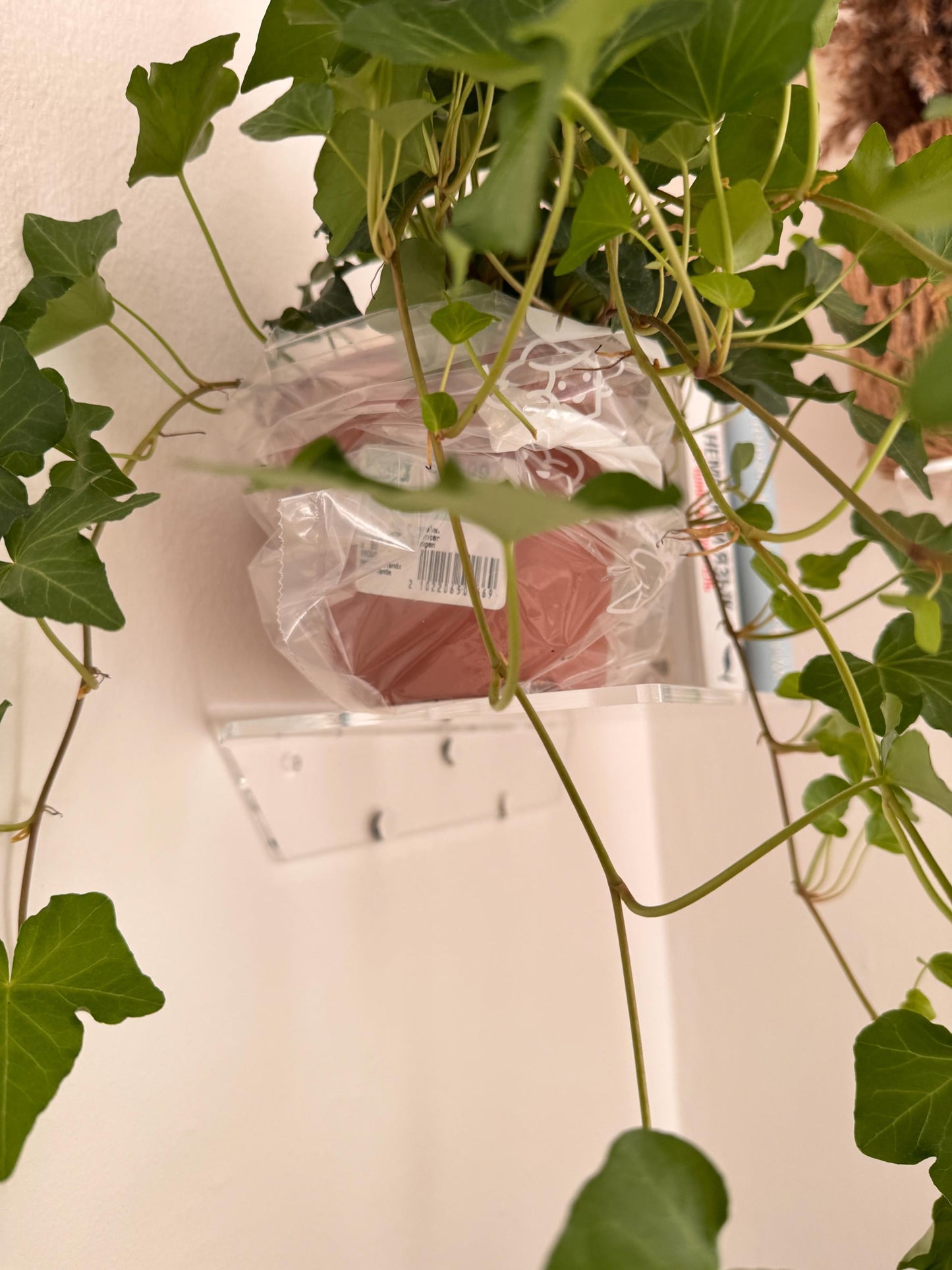 Wall shelves. Floating transparent acrylic shelves. Plant stands. Set of 3 shelves. Invisible shelves for the home
