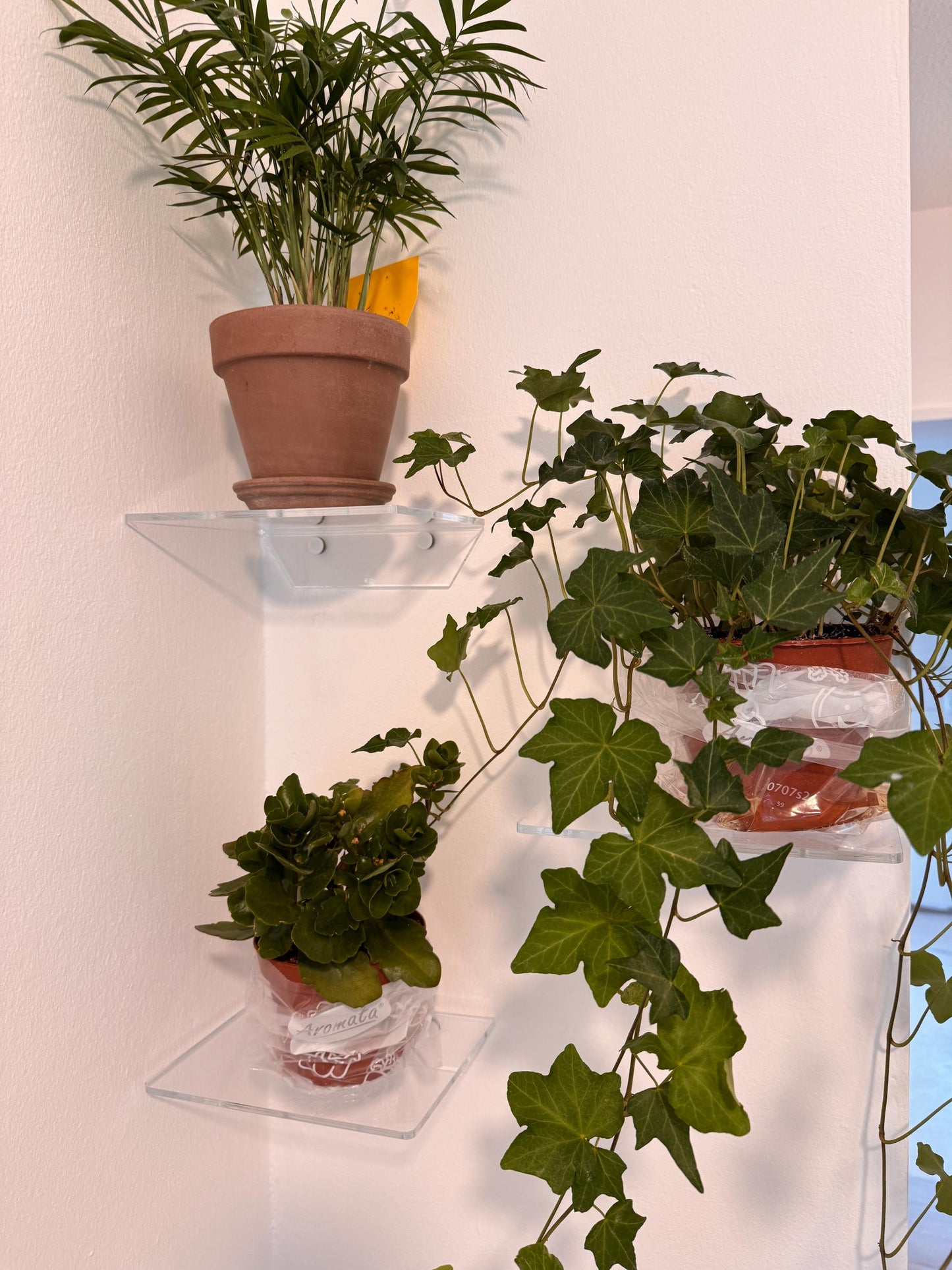 Floating shelves for books or plants. For bathroom cosmetics. Transparent shelves for cups or decor. Set of 3 shelves. Wall shelves.