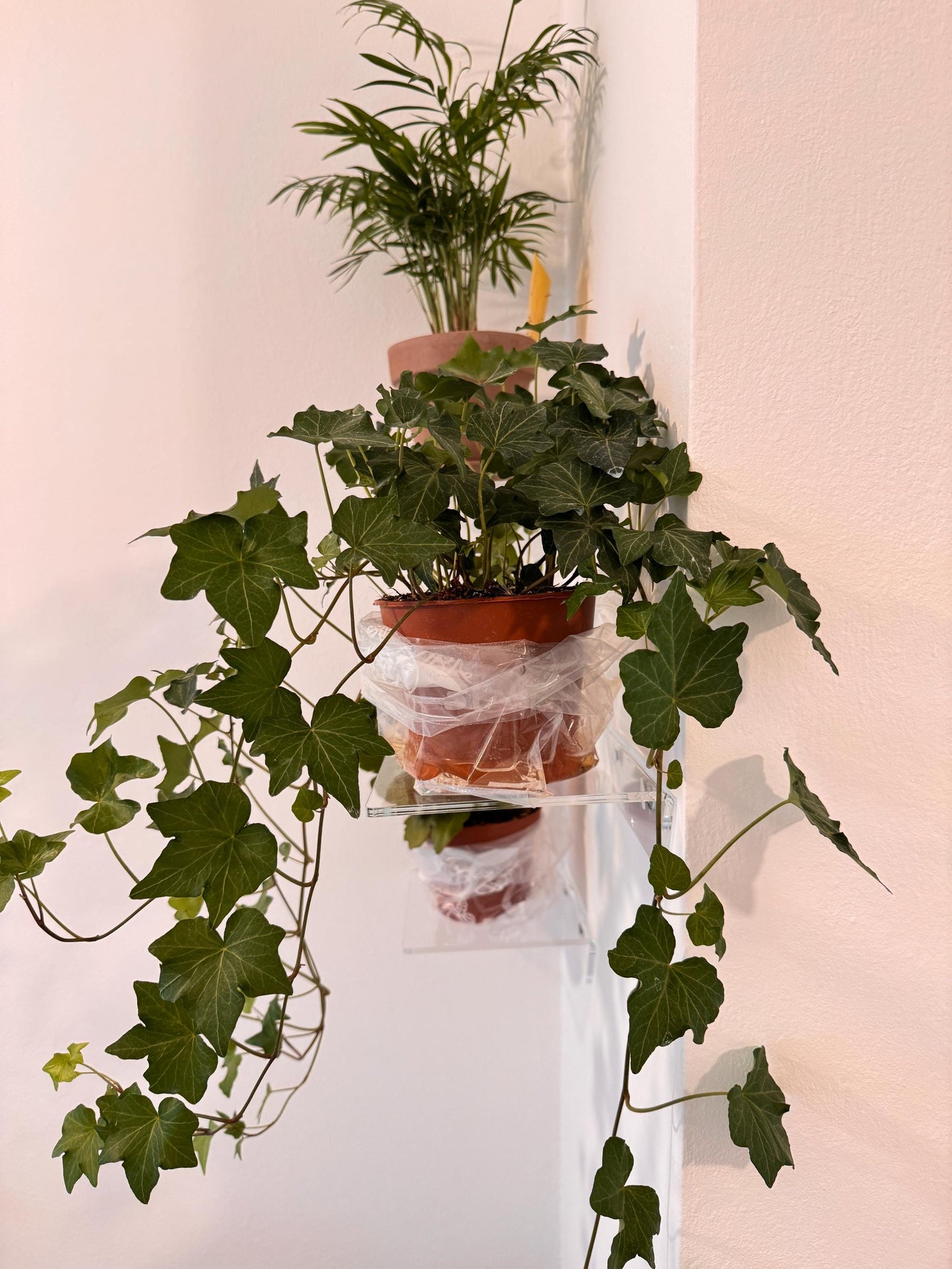 Floating shelves for books or plants. For bathroom cosmetics. Transparent shelves for cups or decor. Set of 3 shelves. Wall shelves.
