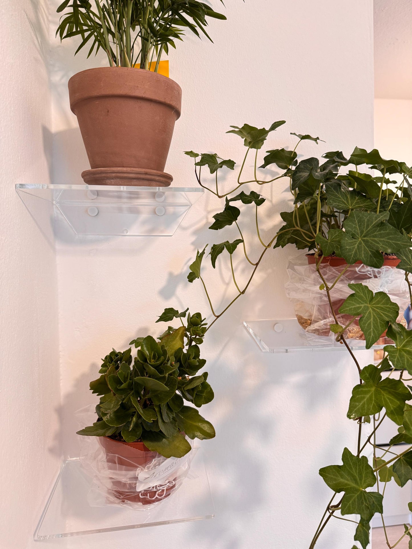 Floating shelves for books or plants. For bathroom cosmetics. Transparent shelves for cups or decor. Set of 3 shelves. Wall shelves.