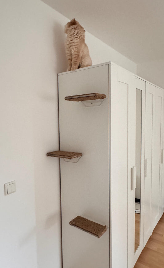 Wall mounted cat shelf, Wall-mounted cat bed, pet steps