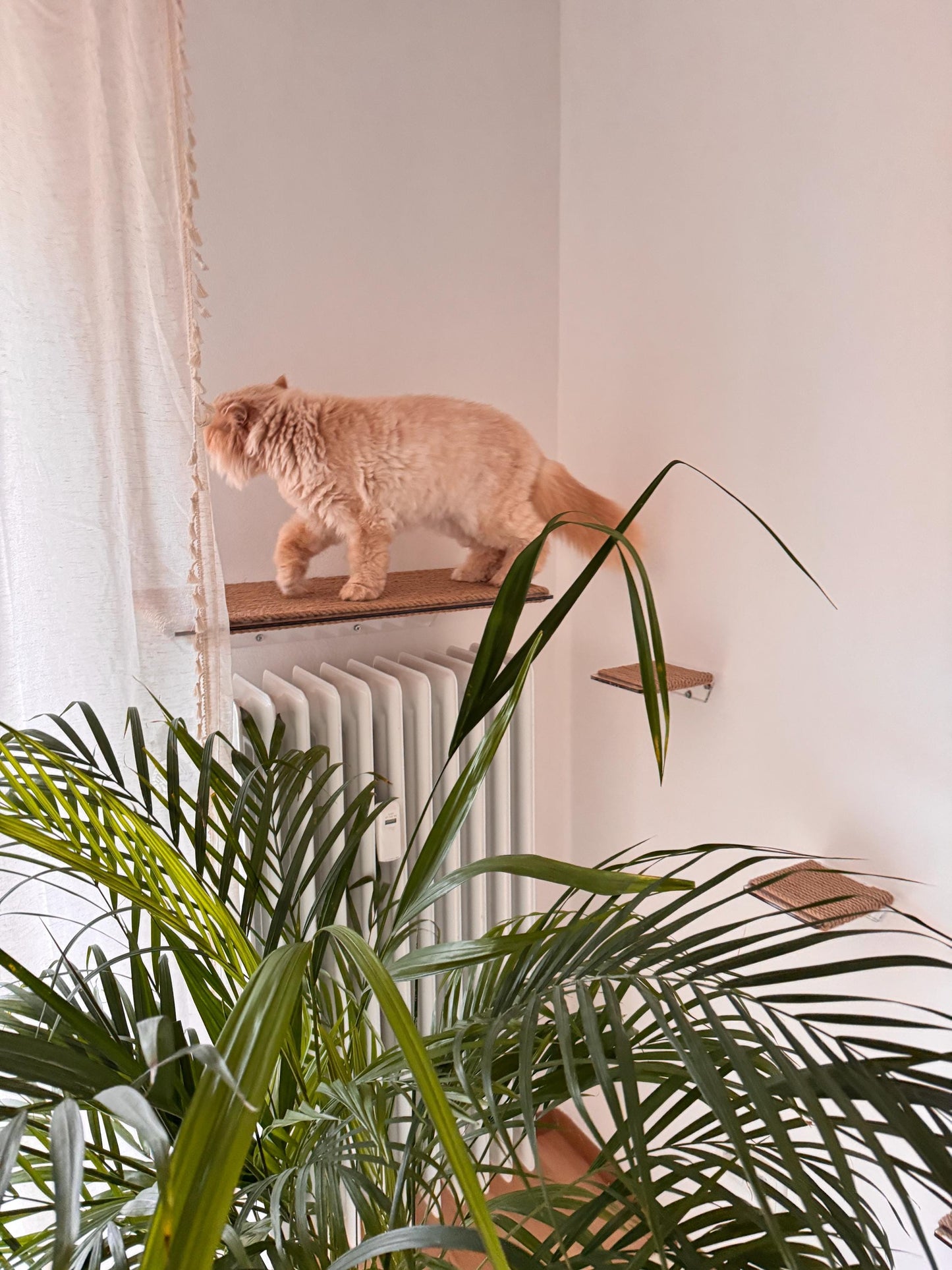 Large Wall Mounted Cat Bed with Jute Scratching Surface Acrylic Floating Cat Shelf Modern Wall Pet Lounge for Climbing and Resting