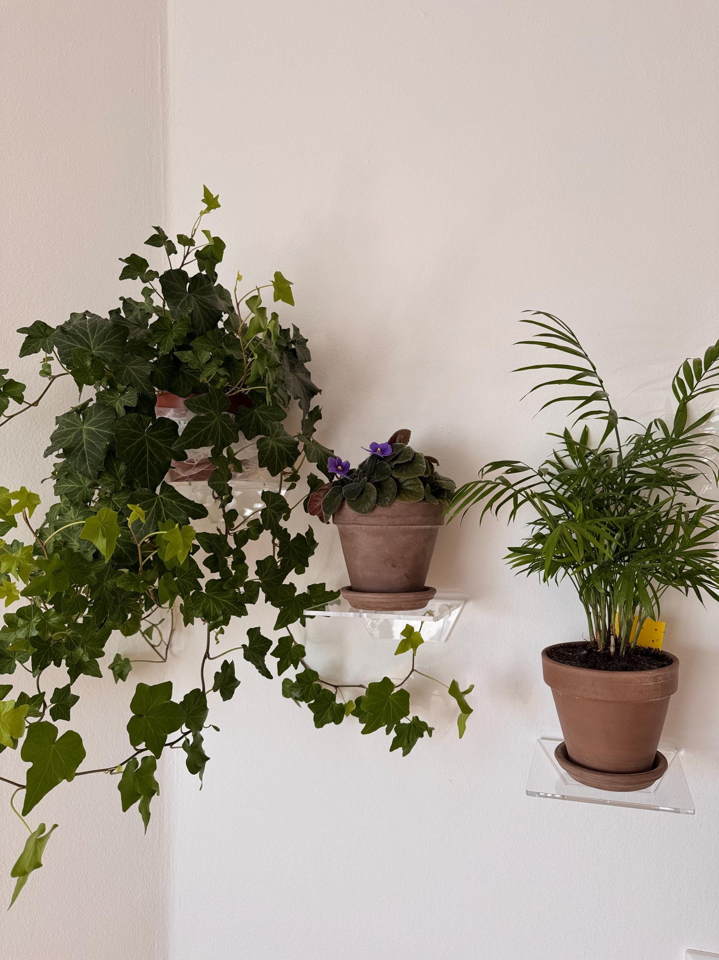 floating acrylic wall shelf, shelves for flowers and decor. 1pc