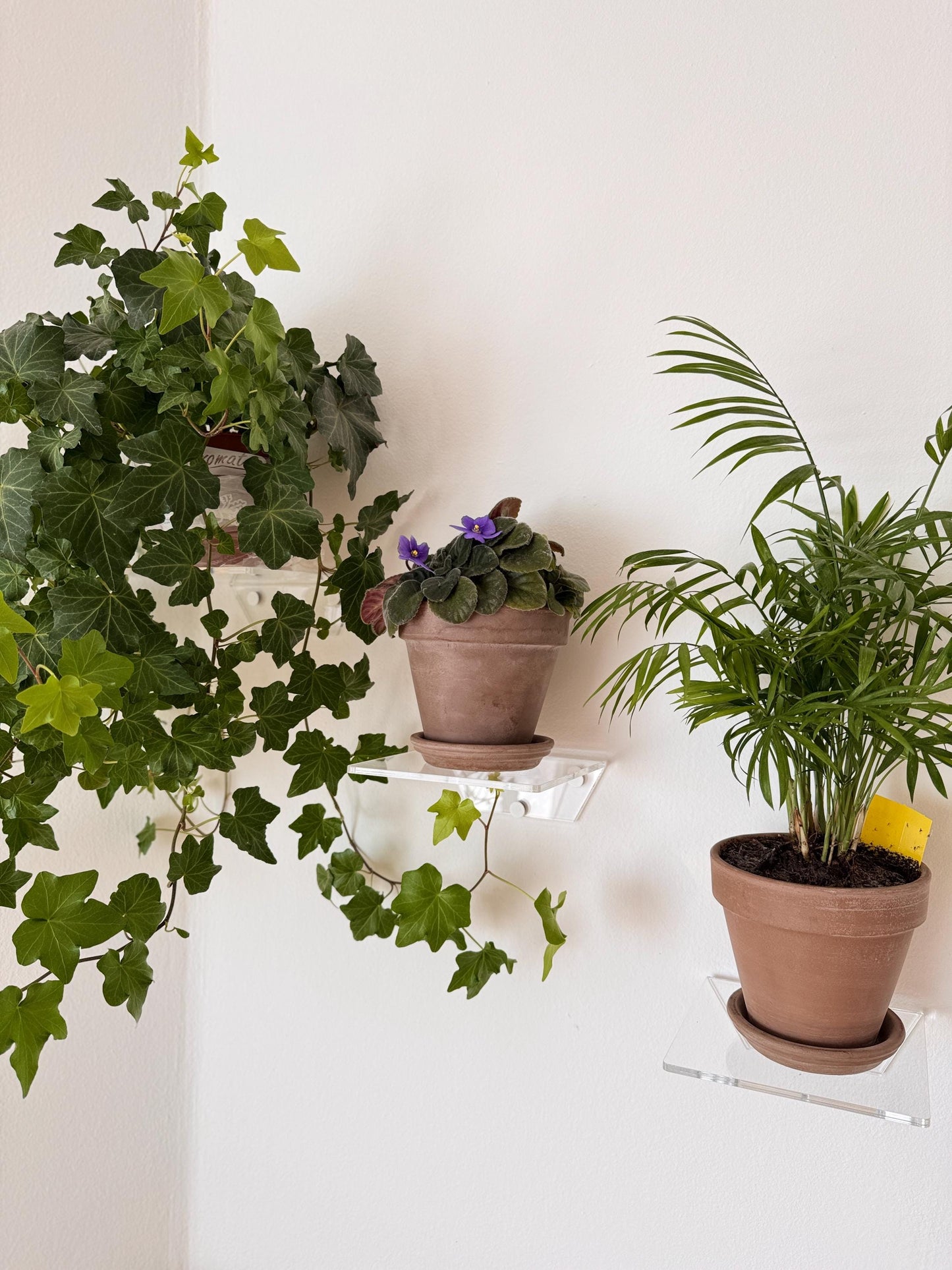 Set of three wall-mounted floating shelves made of clear acrylic, shelves for books, plants, cosmetics and wall decor