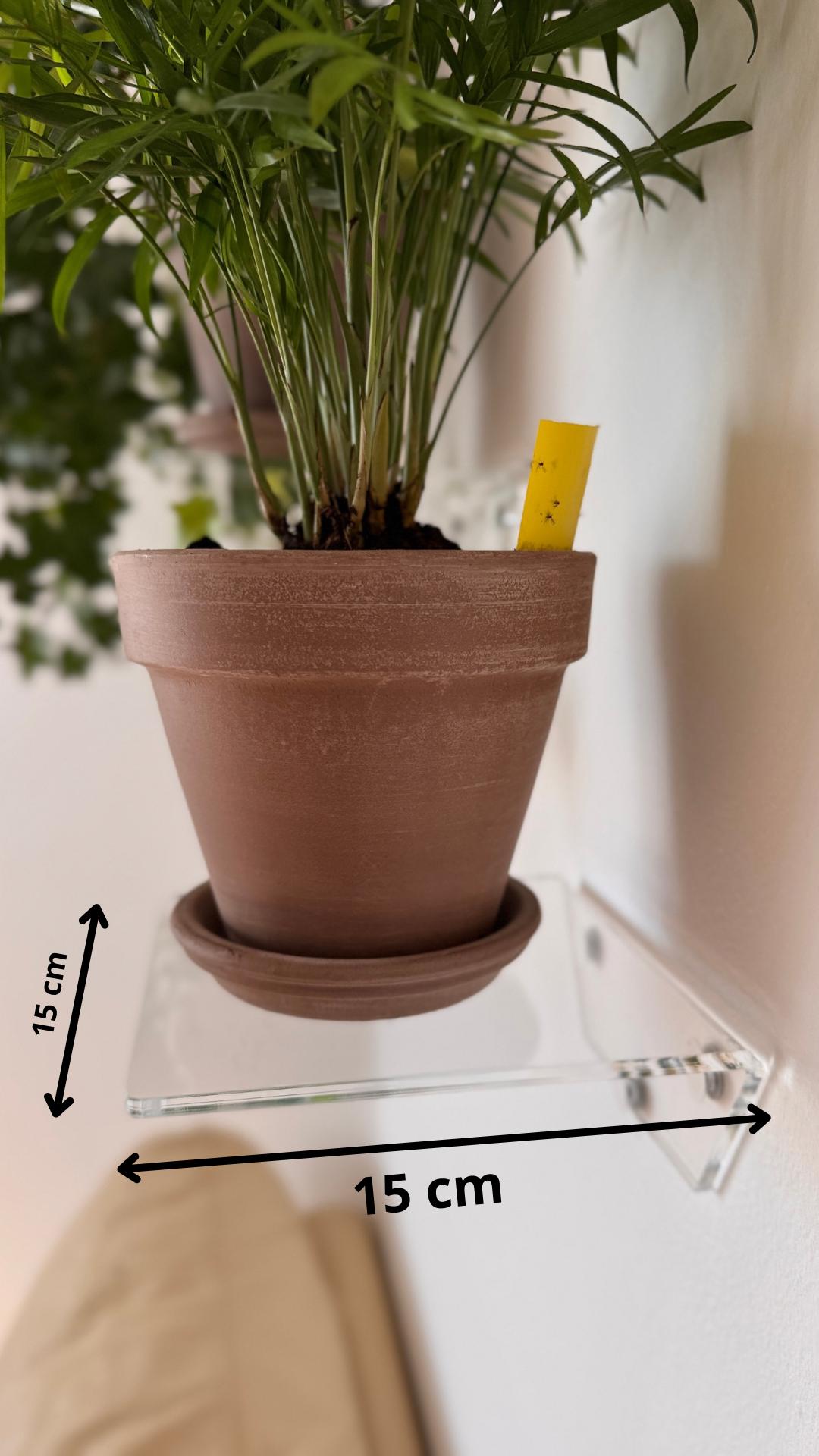 Set of three wall-mounted floating shelves made of clear acrylic, shelves for books, plants, cosmetics and wall decor