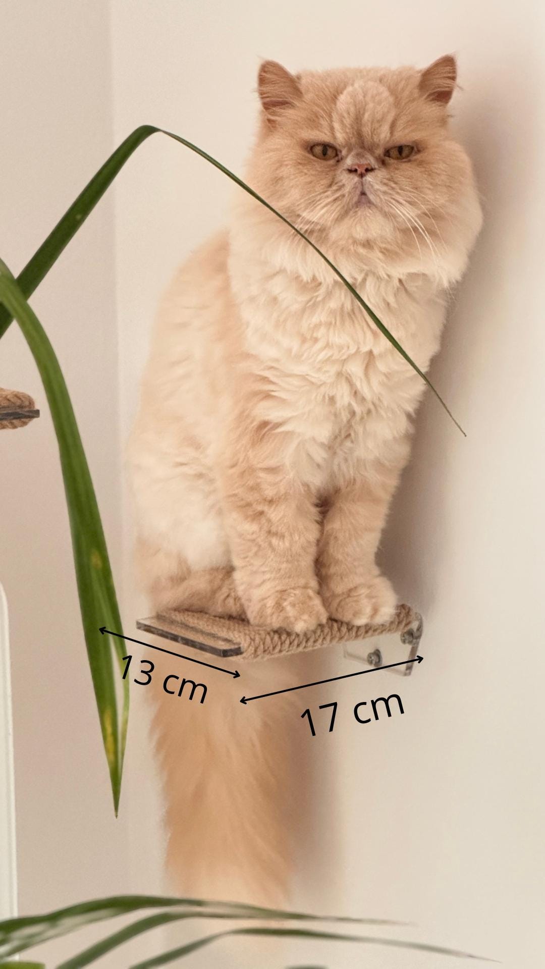 Wall Mounted Acrylic und Jute Cat Step Floating Cat Shelf with Scratching Surface Modern Pet Wall Furniture. 1pc