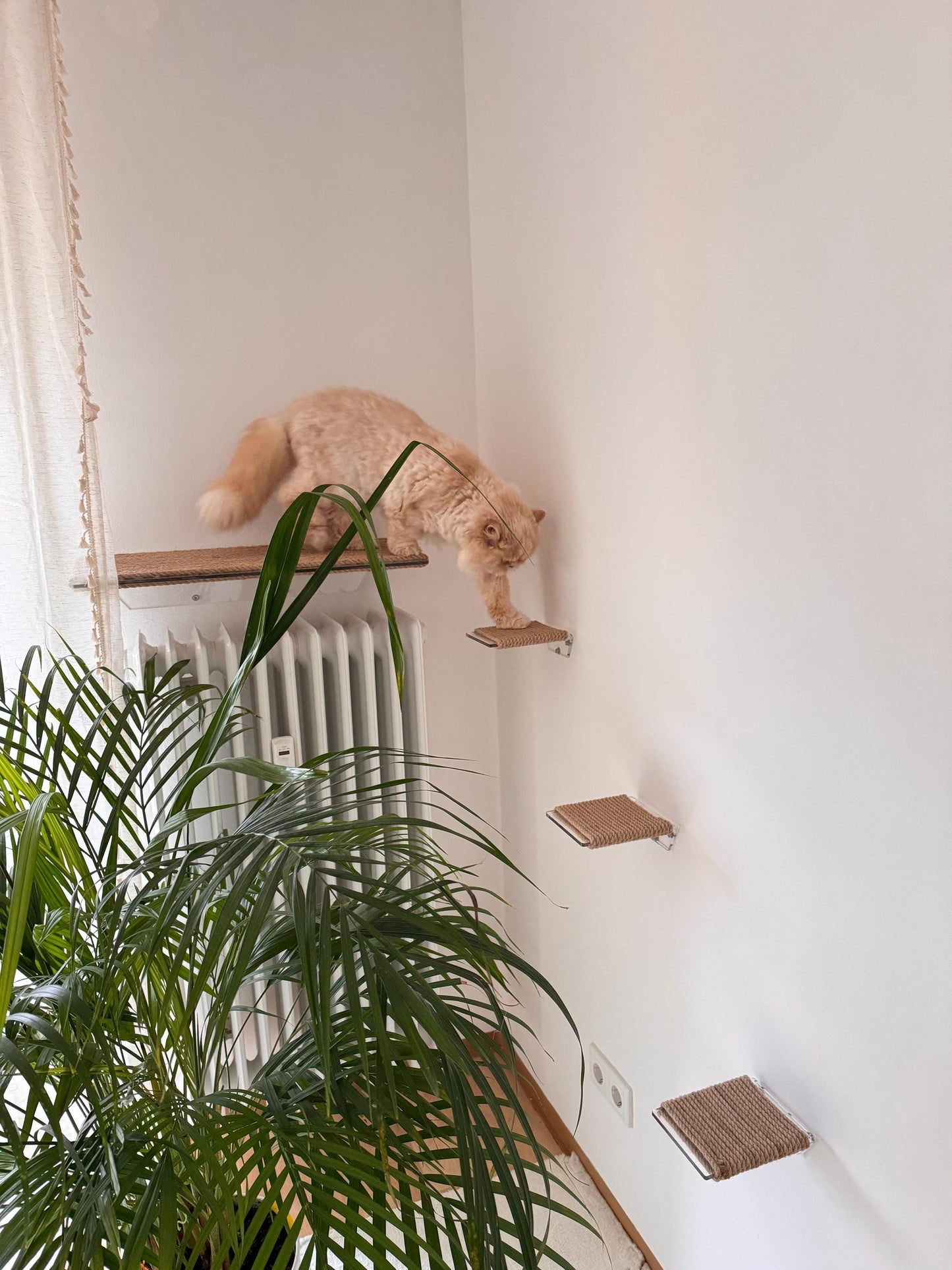 Large Wall Mounted Cat Shelf Scratching Post Cozy Climbing and Lounging Spot for Cats