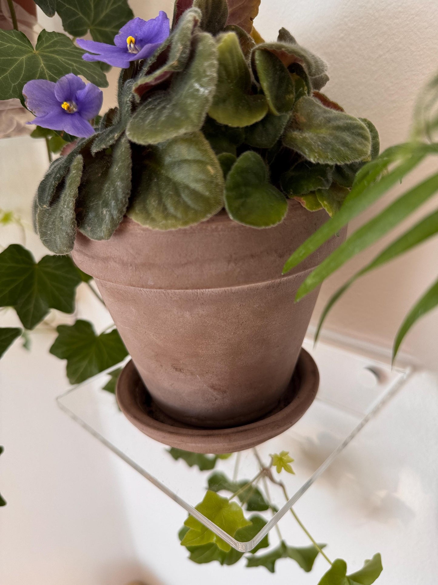 floating acrylic wall shelf, shelves for flowers and decor. 1pc