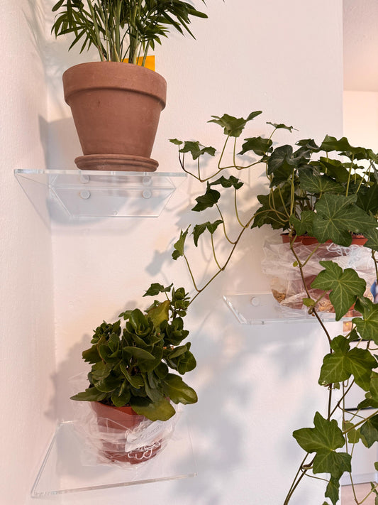 Floating shelves for books or plants. For bathroom cosmetics. Transparent shelves for cups or decor. Set of 3 shelves. Wall shelves.