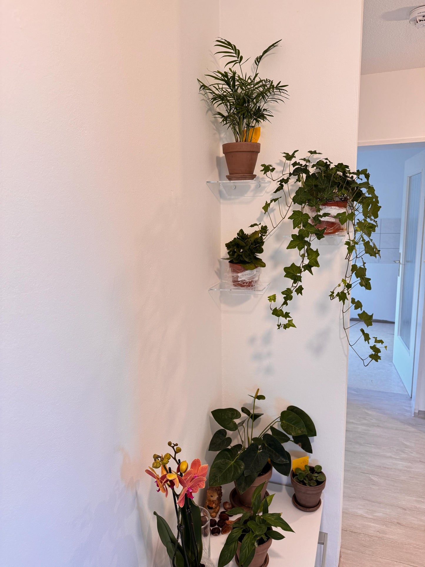 Floating shelves for books or plants. For bathroom cosmetics. Transparent shelves for cups or decor. Set of 3 shelves. Wall shelves.
