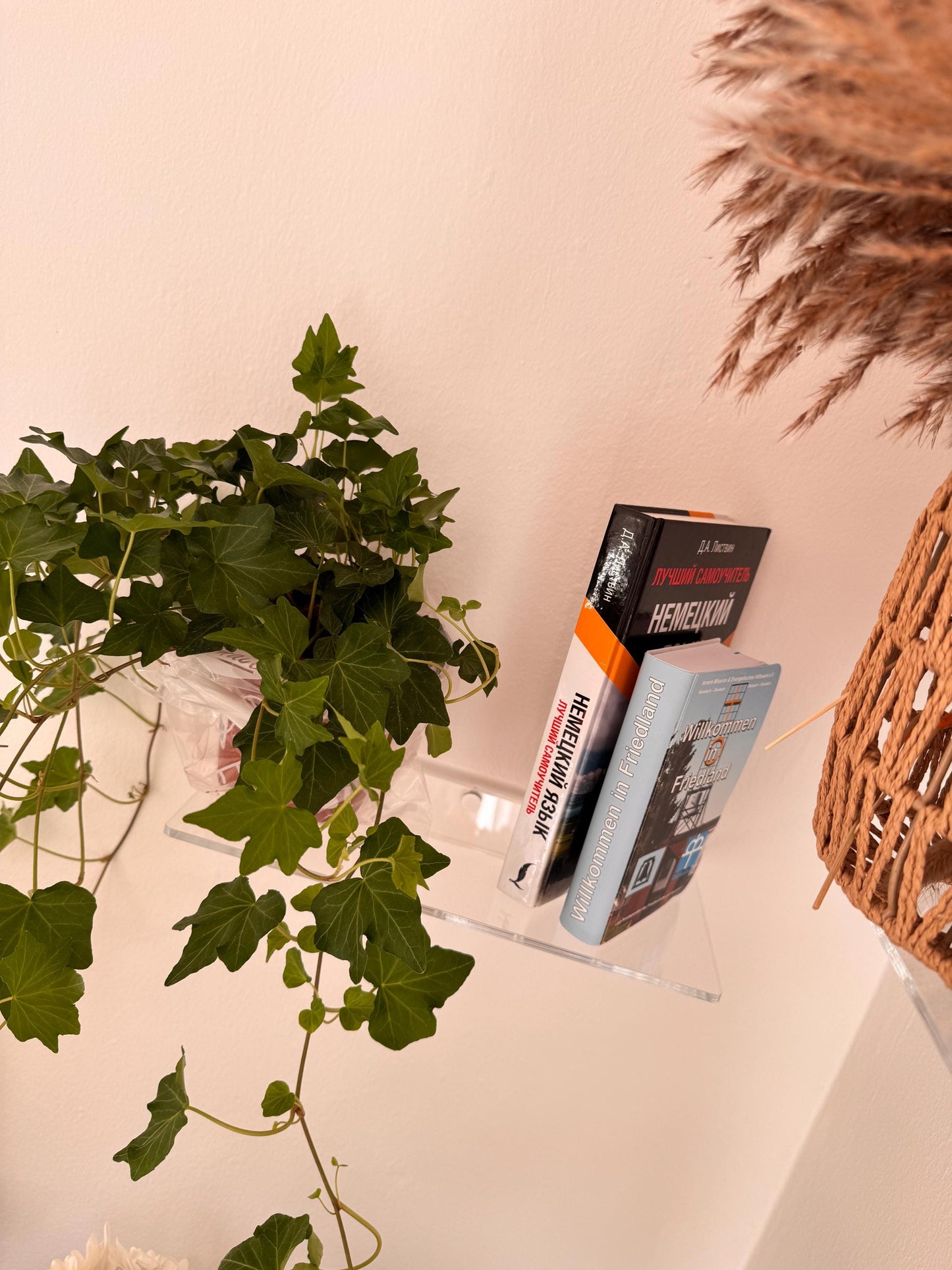 Wall shelves. Floating transparent acrylic shelves. Plant stands. 1 shelf. Invisible shelves for the home