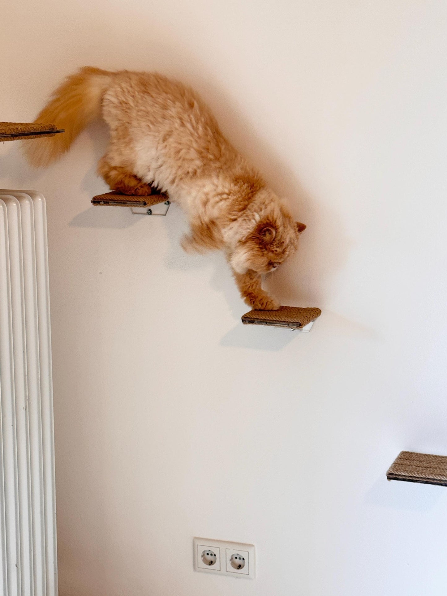 Wall Mounted Acrylic und Jute Cat Step Floating Cat Shelf with Scratching Surface Modern Pet Wall Furniture. 1pc