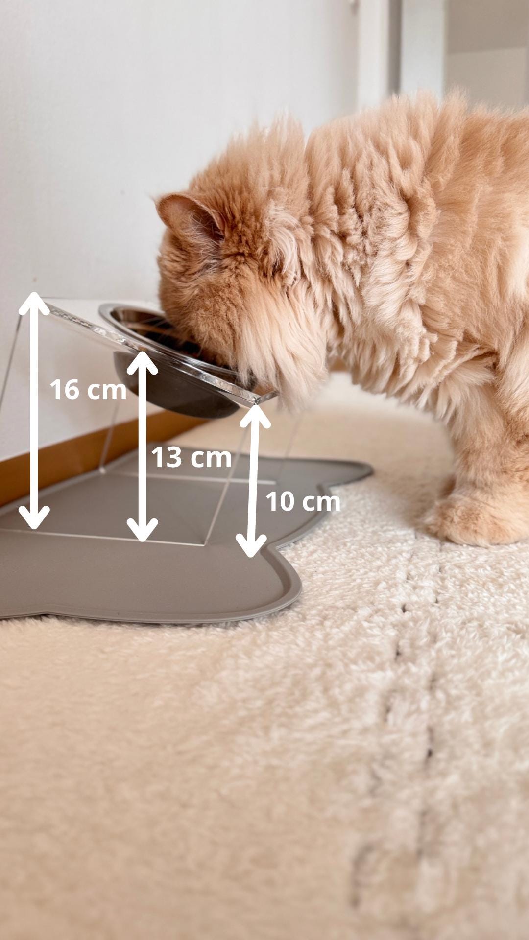 Transparent Acrylic Elevated Pet Bowl Stand Slanted Single Feeding Station for Cats and Small Dogs Clear Raised Feeder