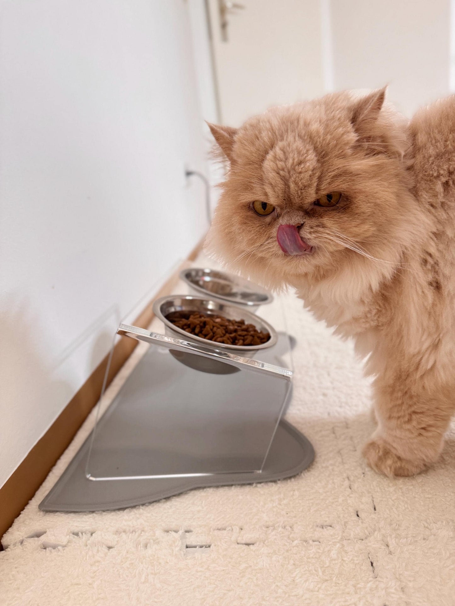 Elevated Double Pet Bowl Stand – Tilted Food and Water Feeder for Dogs and Cats Raised Feeding Station