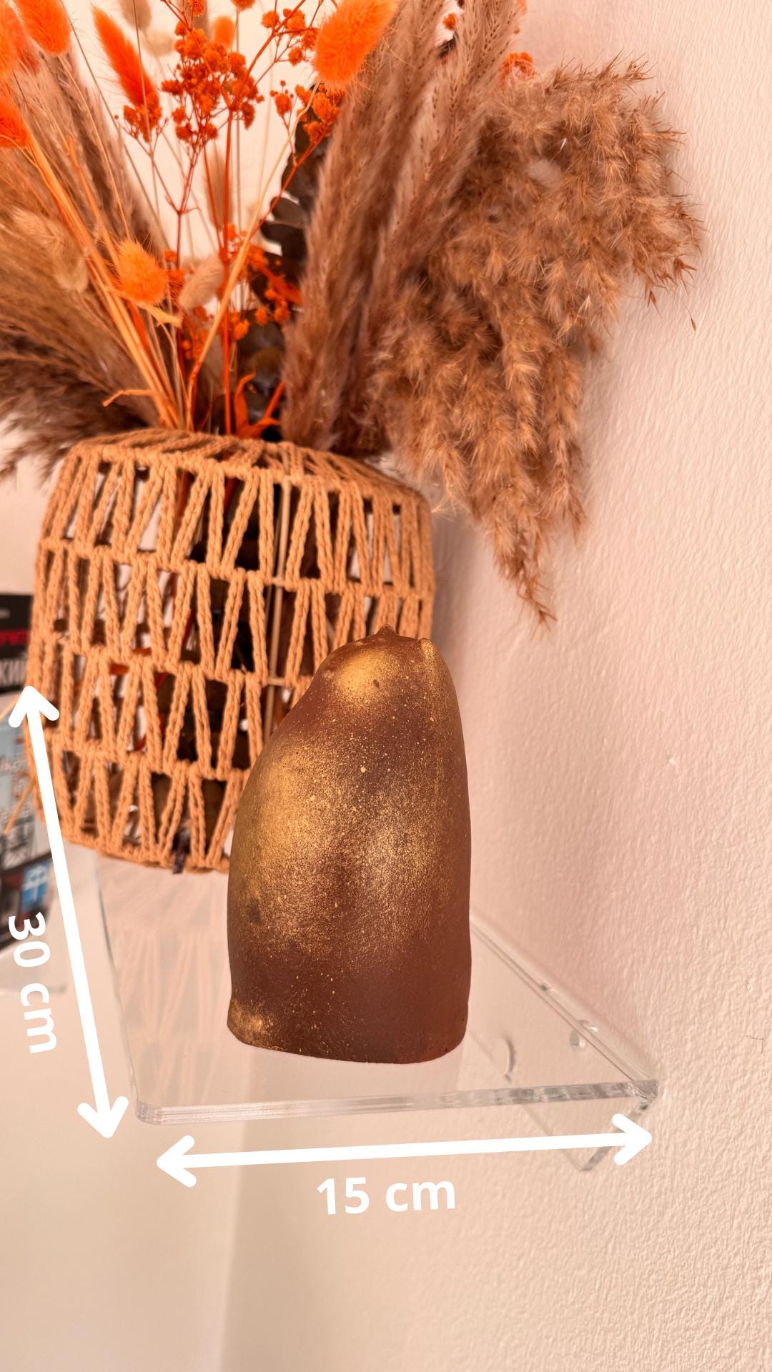 Wall shelves. Floating transparent acrylic shelves. Plant stands. 1 shelf. Invisible shelves for the home