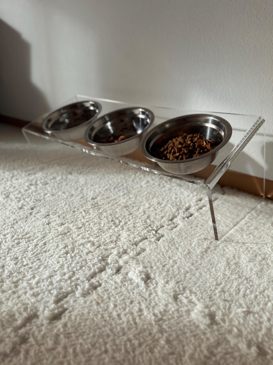 Transparent Acrylic Elevated Triple Pet Bowl Stand Slanted Feeding Station for Cats and Small Dogs Modern Clear Raised Feeder