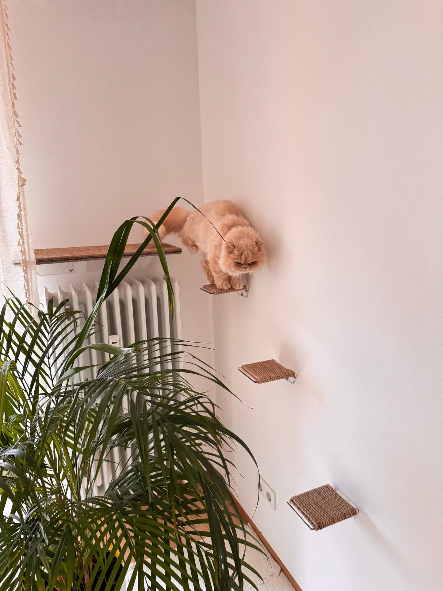 Wall-Mounted Cat Steps – Climbing Shelves and Scratching Steps for Pets Interactive Wall Cat Furniture. 3pc