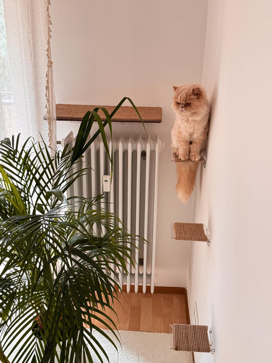 4-Piece Cat Wall Furniture Set Acrylic Cat Hammock with Jute Scratcher + 3 Wall Steps, Modern Cat Climbing Furniture, Cat Activity Wall